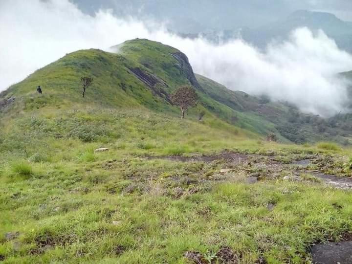 Jungle Retreat Natural Stay Kombaikadu Kodaikanal Zewnętrze zdjęcie